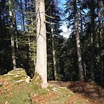 Logis De La Licorne * La Ferrière