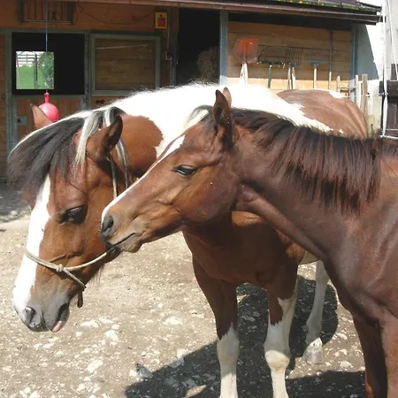 Logis De La Licorne