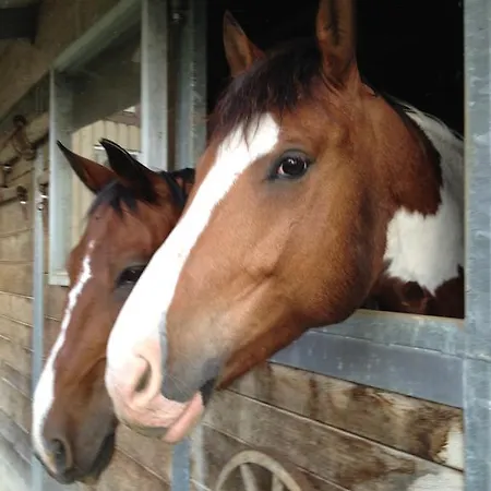 Inn Logis De La Licorne La Ferriere