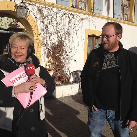 Logis De La Licorne Mini-hôtel La Ferrière