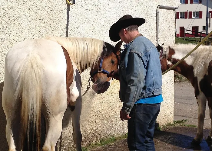 Logis De La Licorne Värdshus