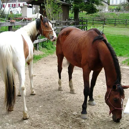 Logis De La Licorne *