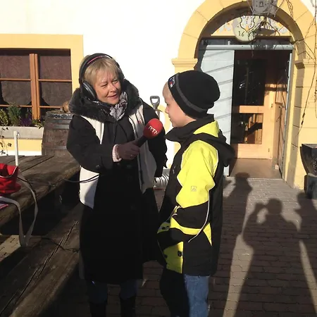 Logis De La Licorne La Ferrière