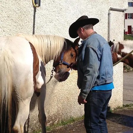 Logis De La Licorne אורחן