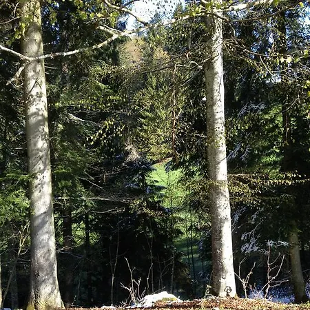 Logis De La Licorne אורחן *