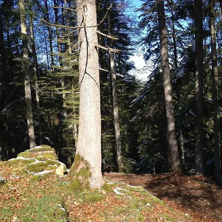Logis De La Licorne * La Ferrière