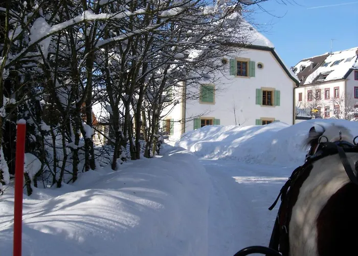Logis De La Licorne Inn La Ferriere