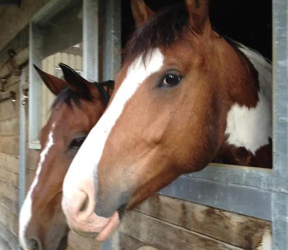 Inn Logis De La Licorne La Ferriere