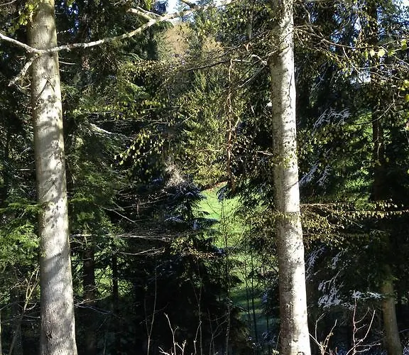 Logis De La Licorne Zajazd *