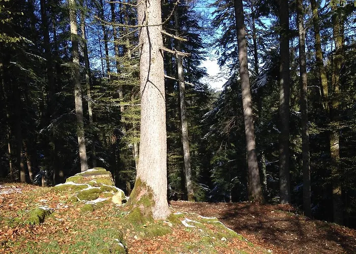 Logis De La Licorne * La Ferrière